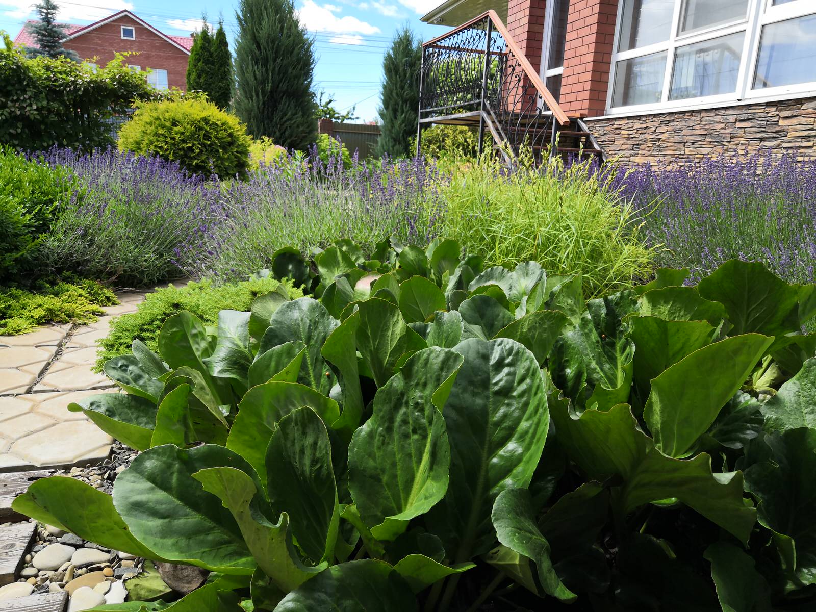 Маленький внутренний дворик