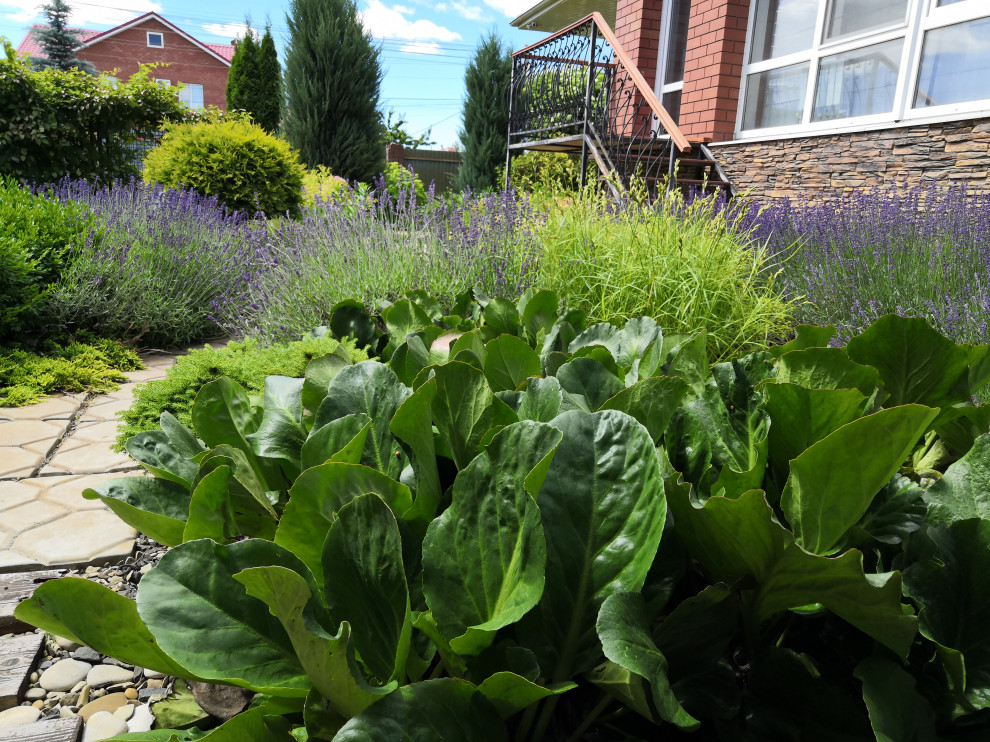 Маленький внутренний дворик