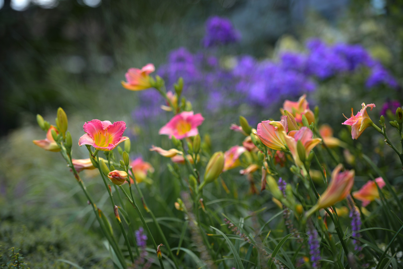 Проект "Волны".Пять лет спустя