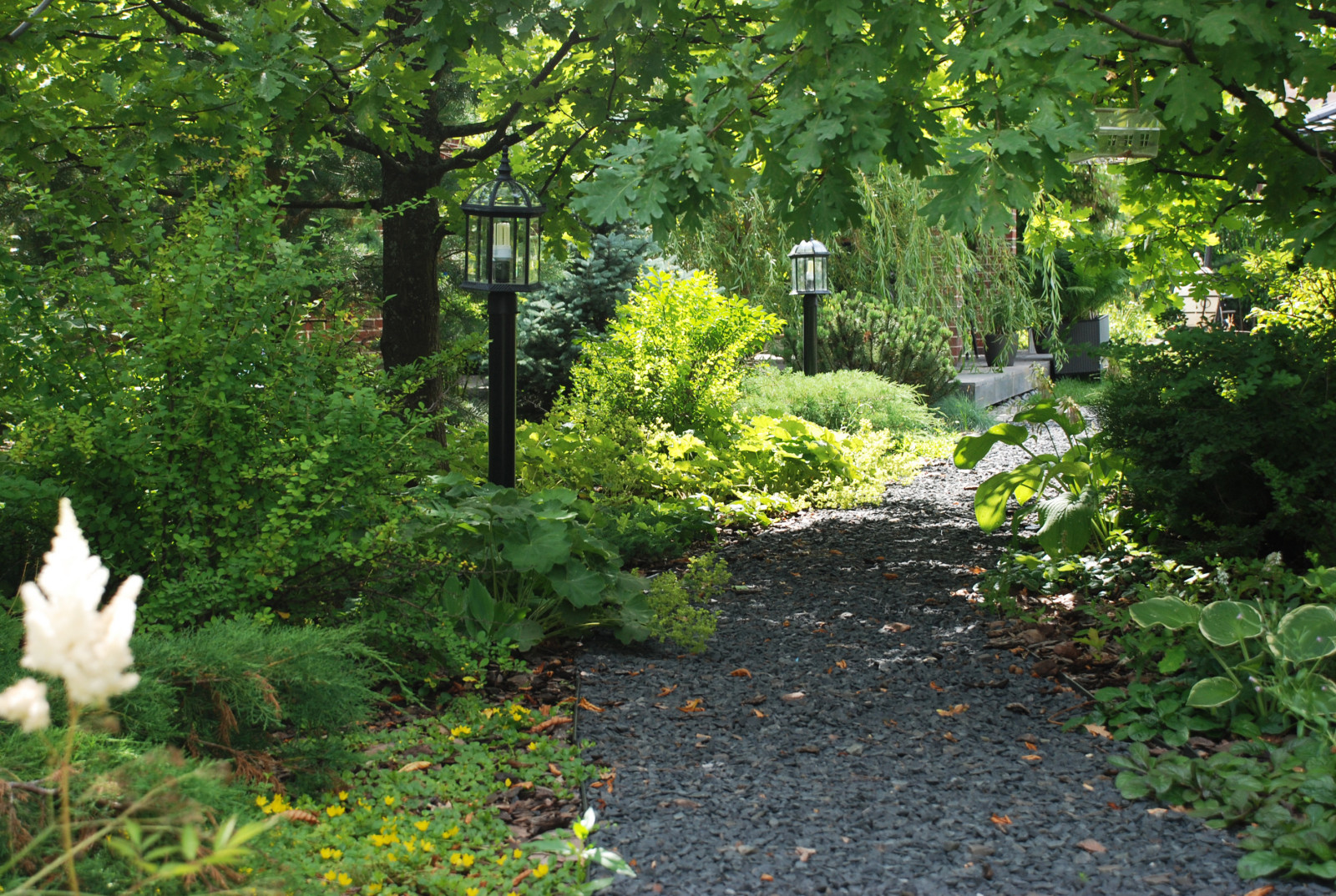 Современный сад в КП "Променад"