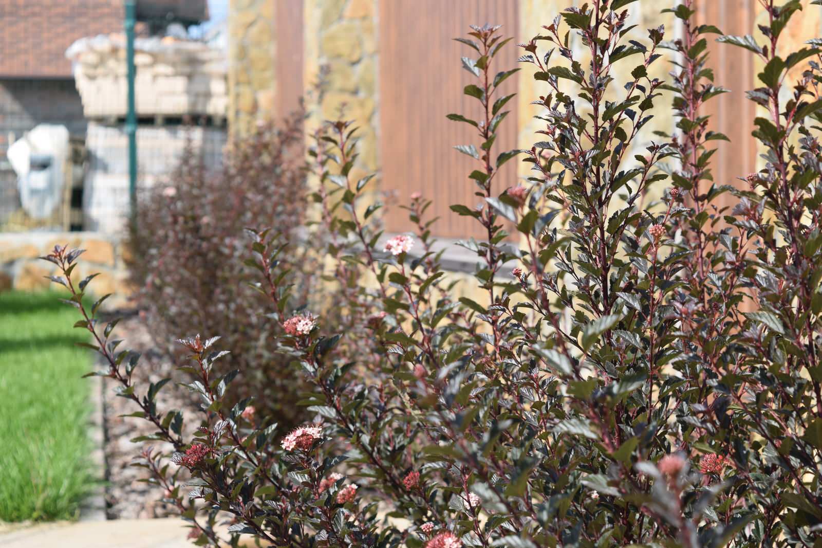 Сад "Геометрия"