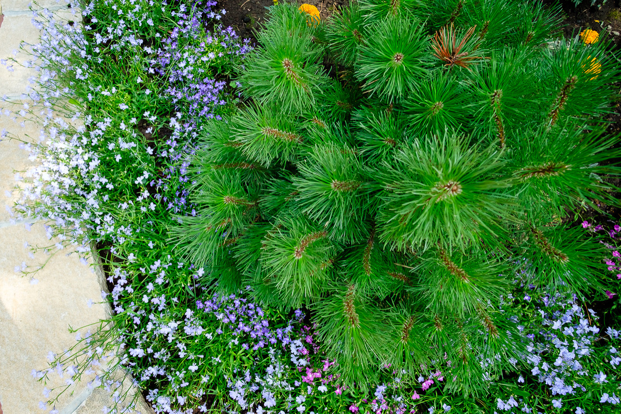 Простор и комфорт загородной жизни