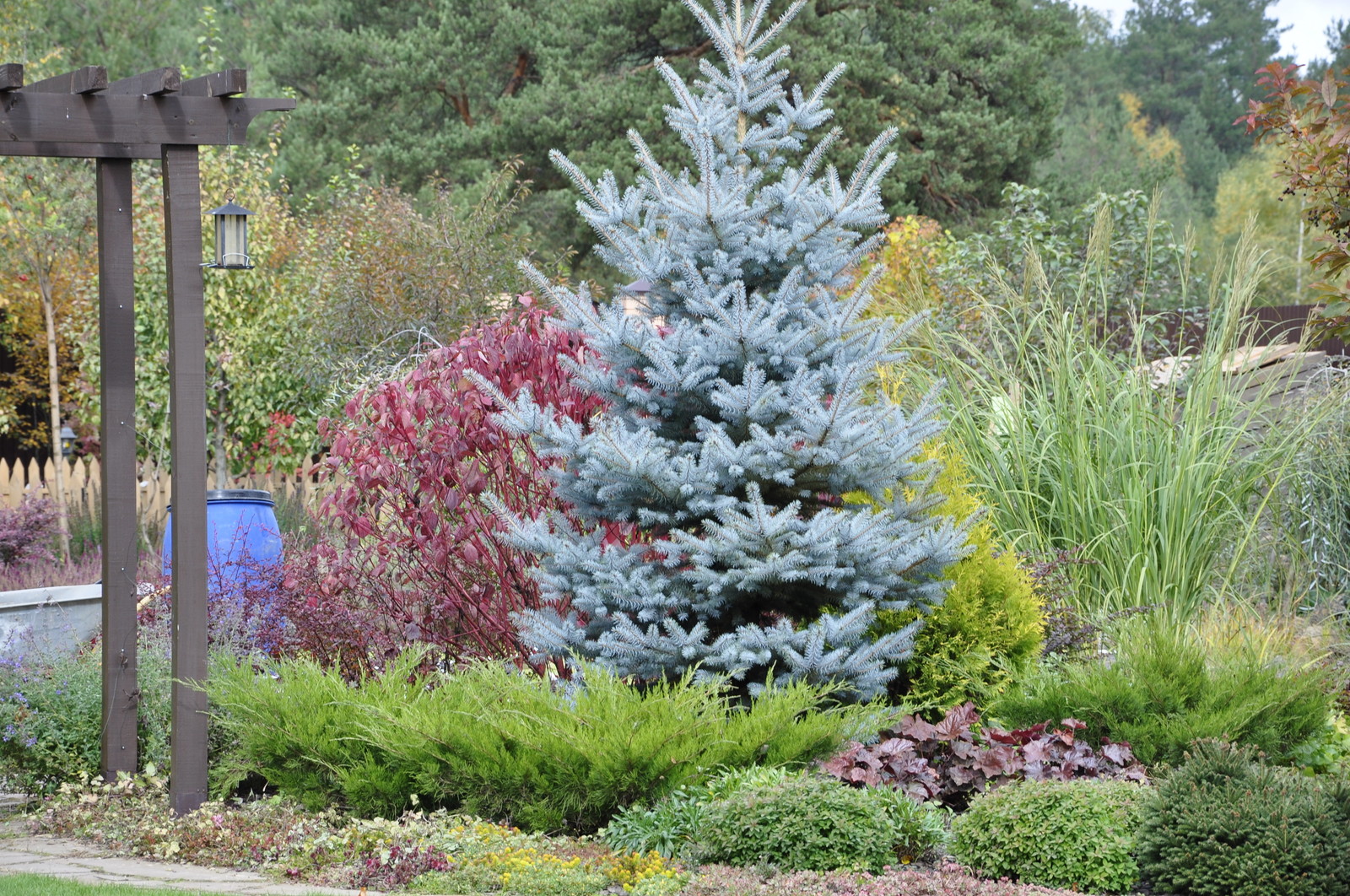 д. Коровино - Уход за садом - 100% качество