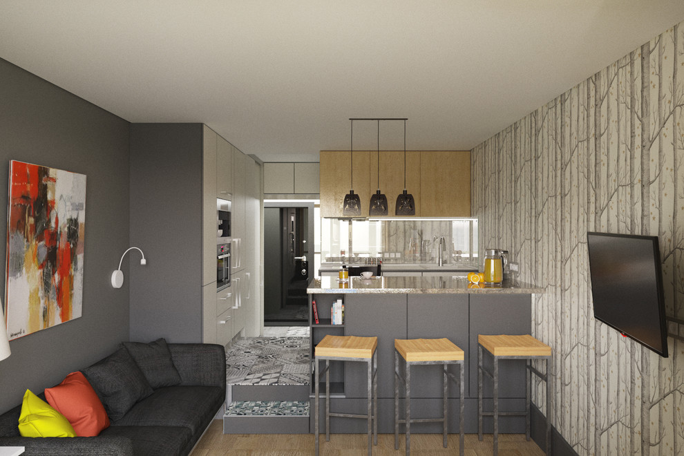 Студия для гостеприимного молодого холостяка