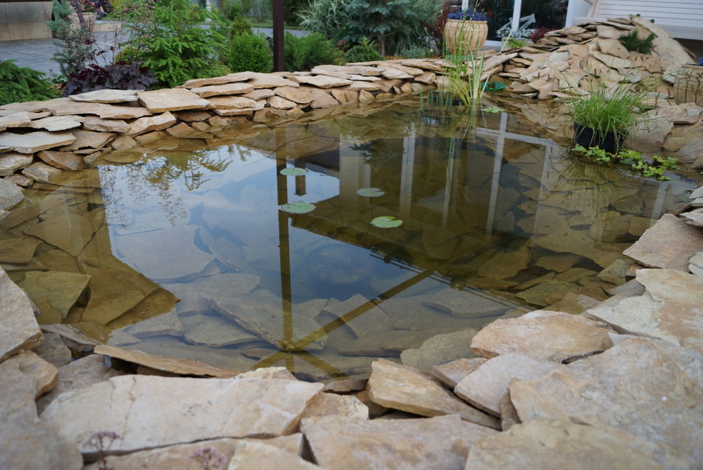 Садовый пруд в африканском стиле