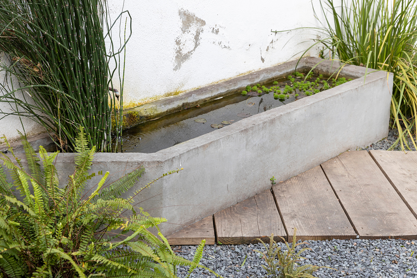 Houzz в саду: Тотальная реконструкция узкого сада