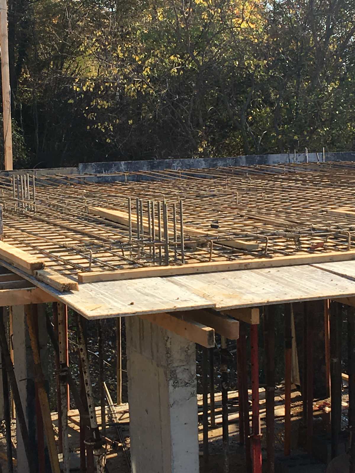 Николай Алмосов