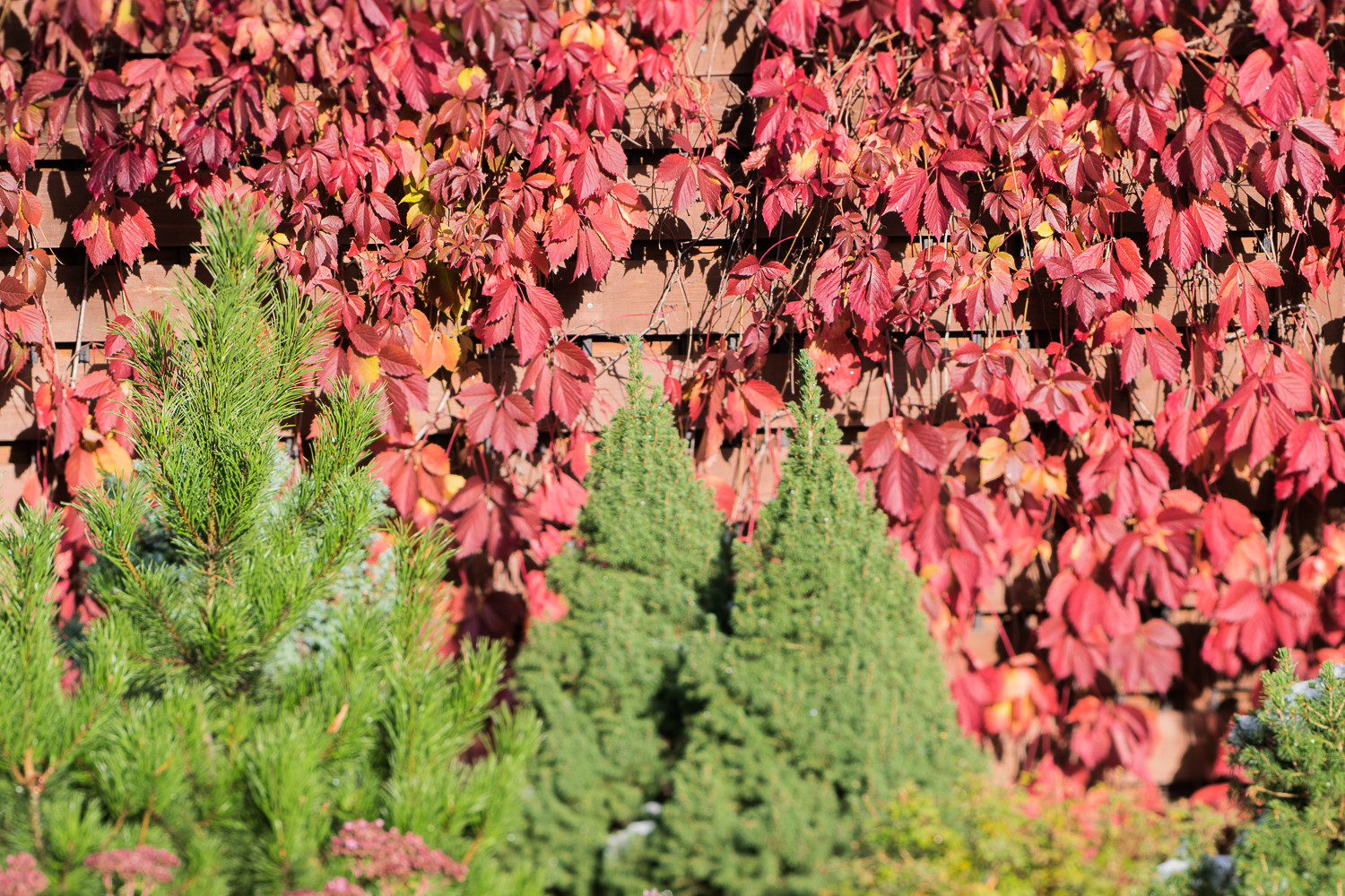 Дом в Речнике