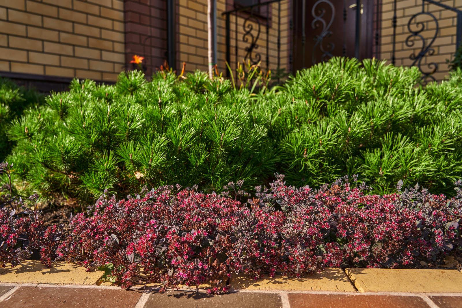 Сад в розовой дымке