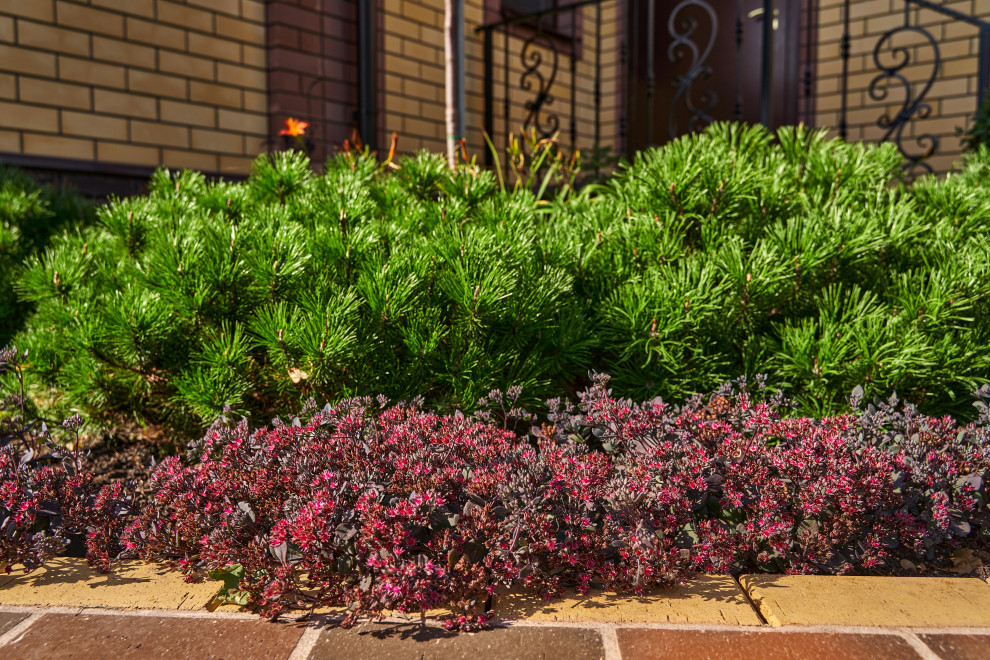 Сад в розовой дымке