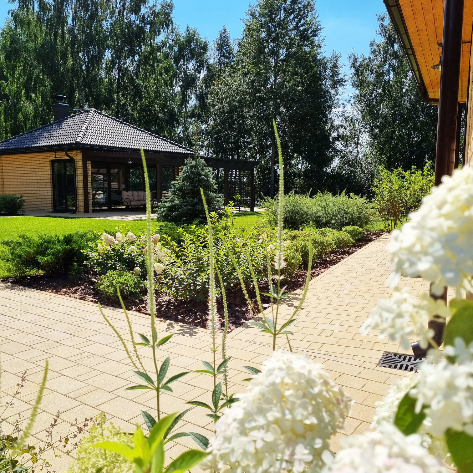 Кожино 2021/зима