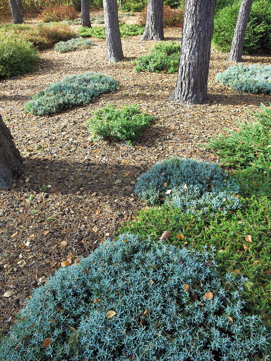 Не нужно бояться темноты