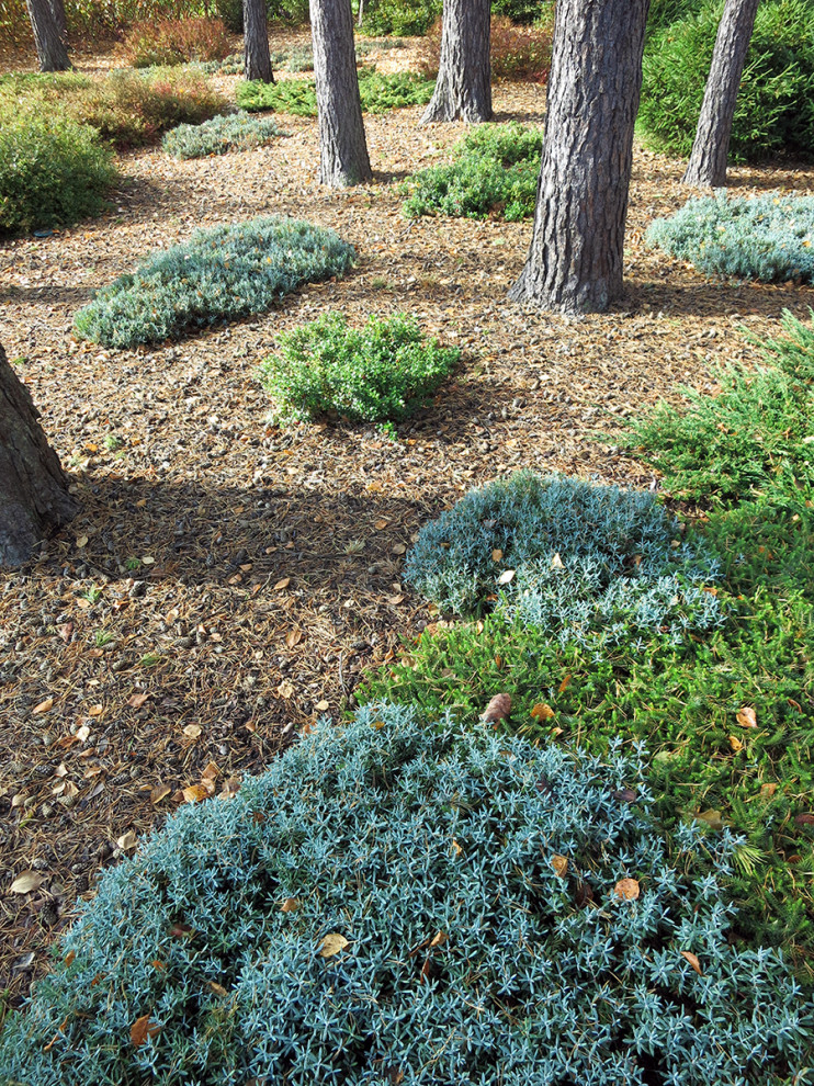 Не нужно бояться темноты