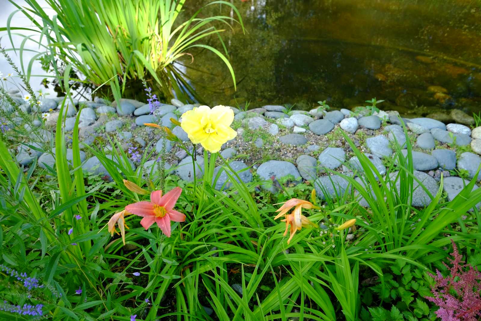 Зеркальный Ландшафтное проектирование