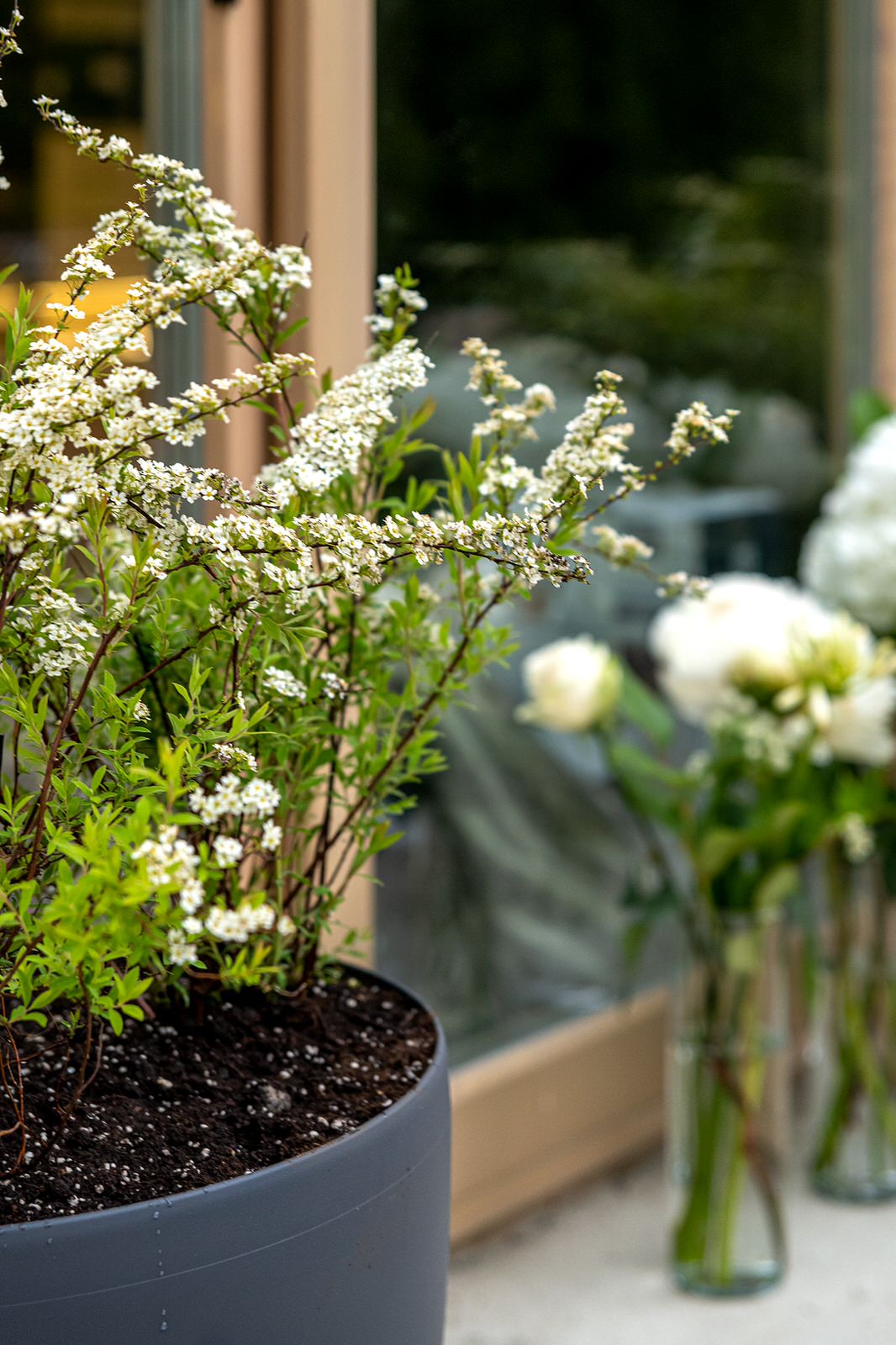 "На Дачу" к Татьяне Веденеевой