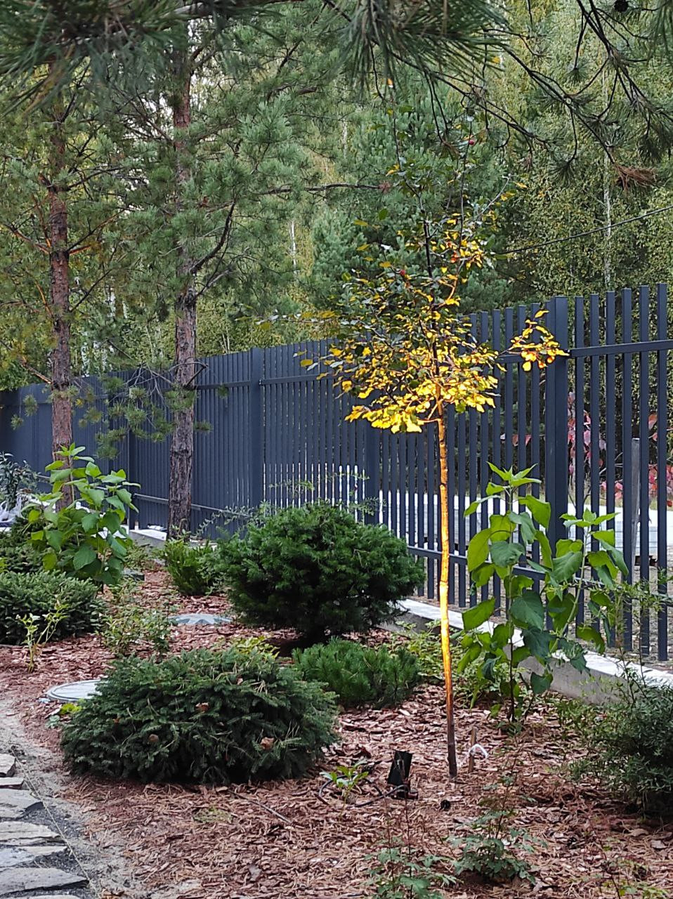 Лесной сад СветоТень Реализация