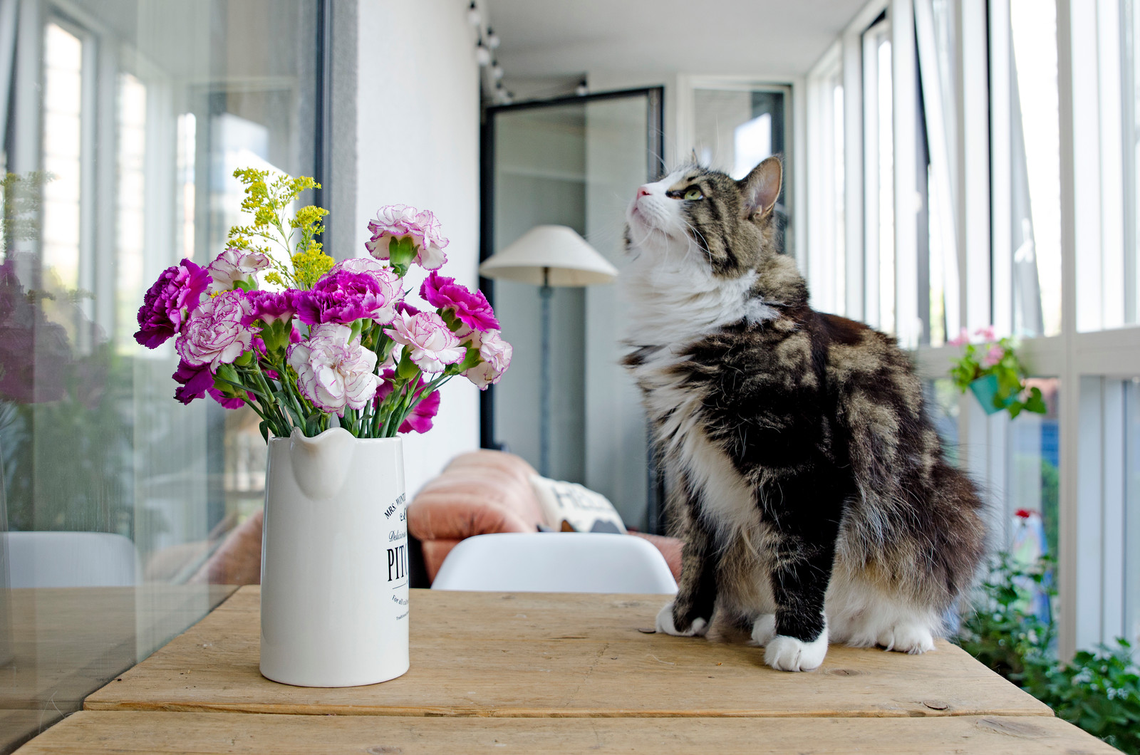 Результаты опроса Houzz: Кто на самом деле хозяин в вашем доме?