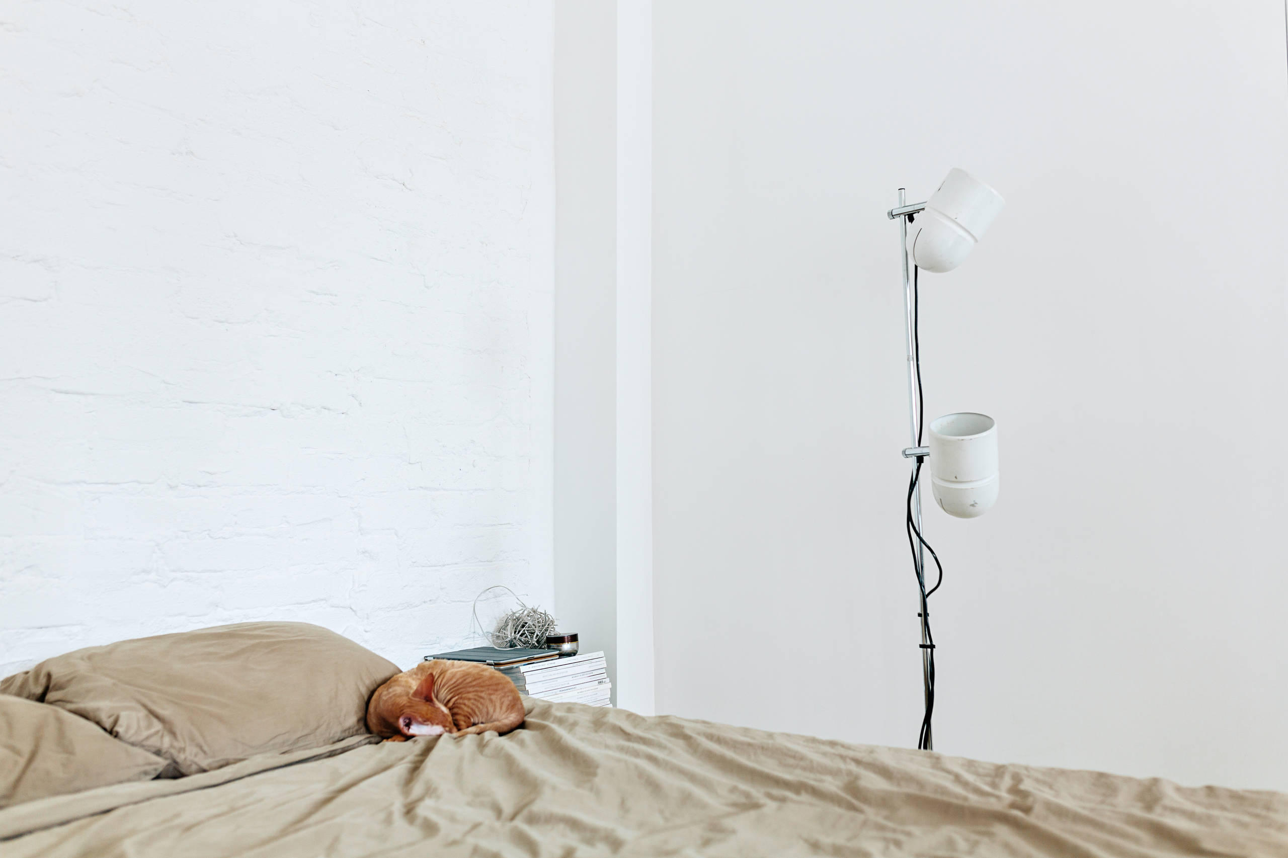 Houzz тур: Игра на контрастах в бывшем доходном доме