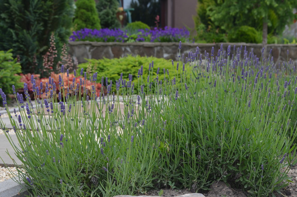 Сад "Ароматы Прованса"