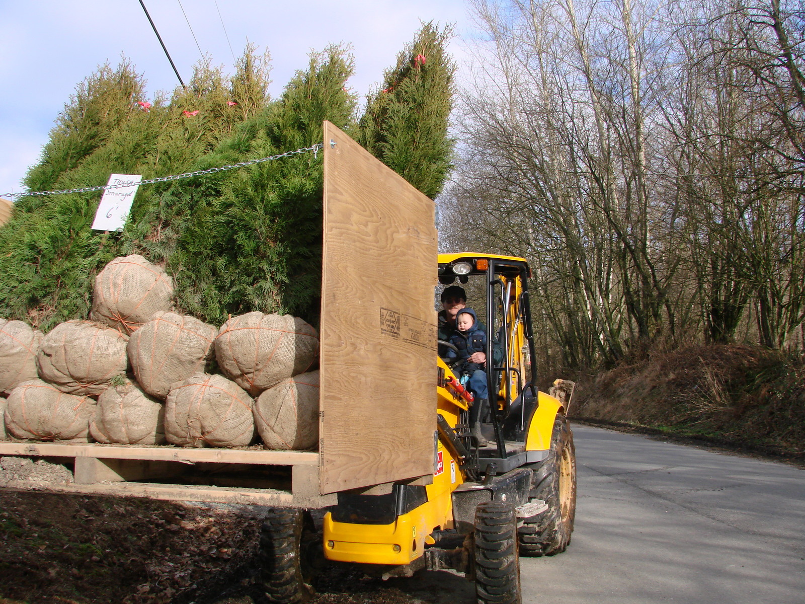 Как правильно: Заказывать растения в европейских питомниках
