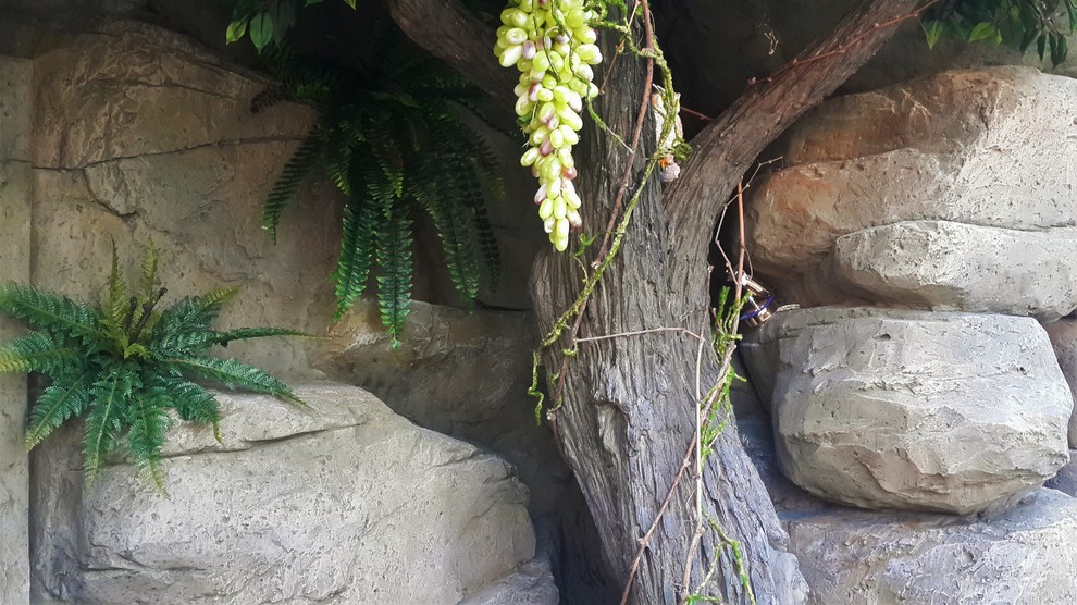 Искусственные скалы.