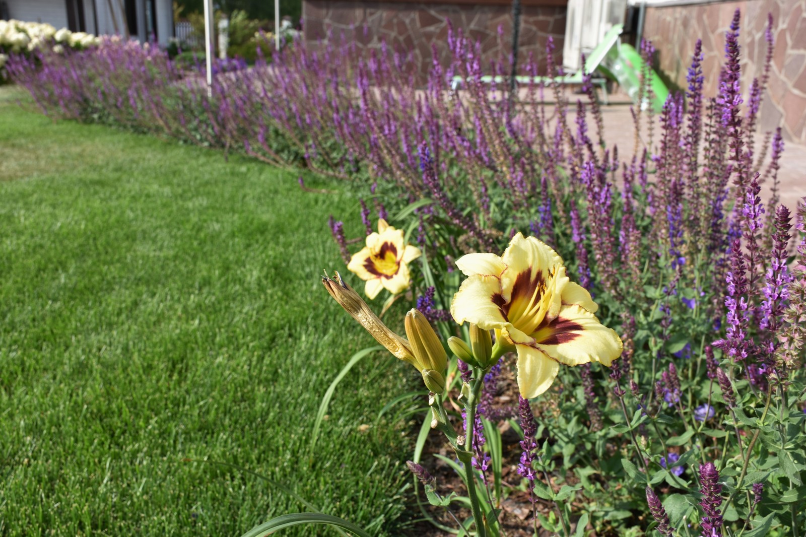 Реконструкция сада,  КП "Терраски"