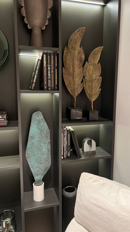 Фотосессия  - двери, мебель и перегородки в московской квартире