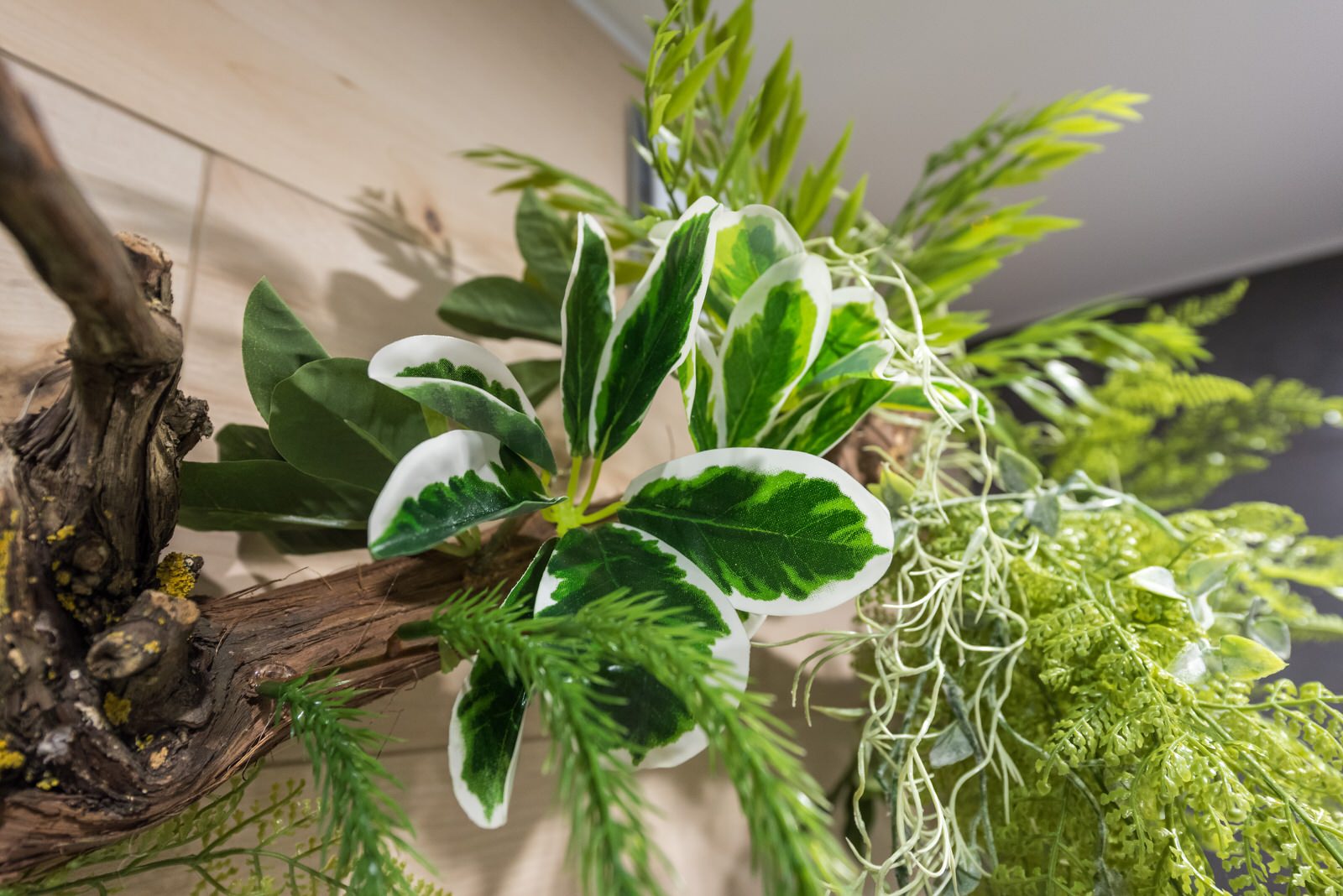 Эко квартира реализация