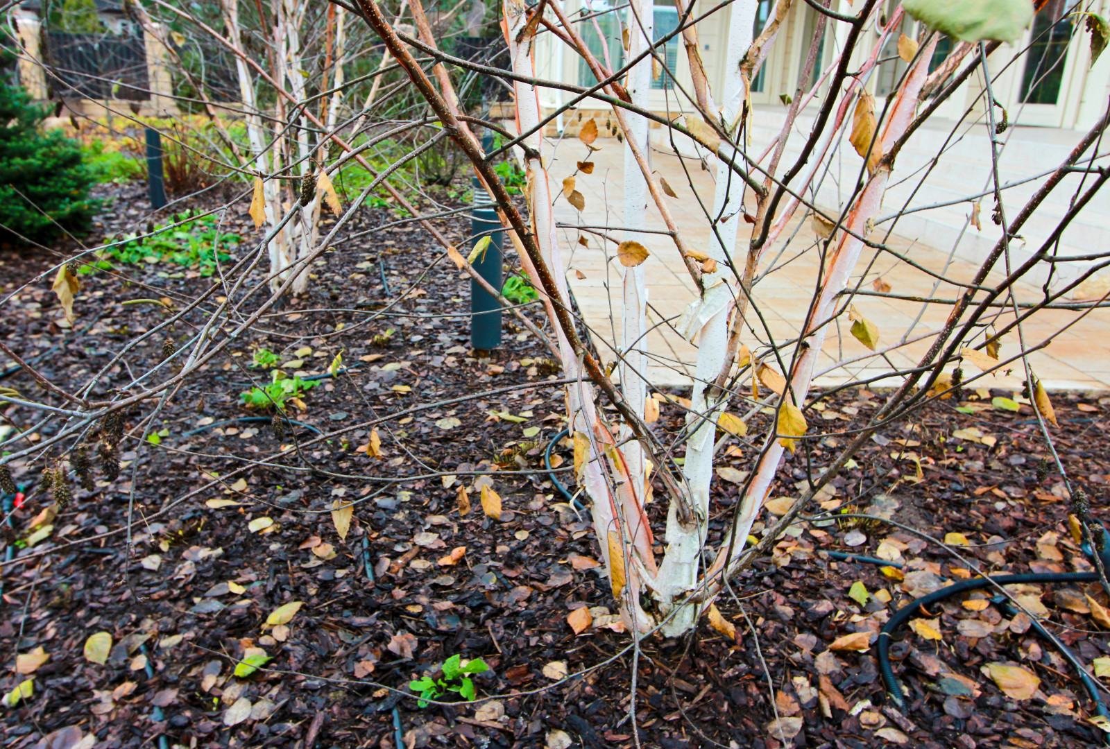 Павлово-2, 2022-2024 г.г.