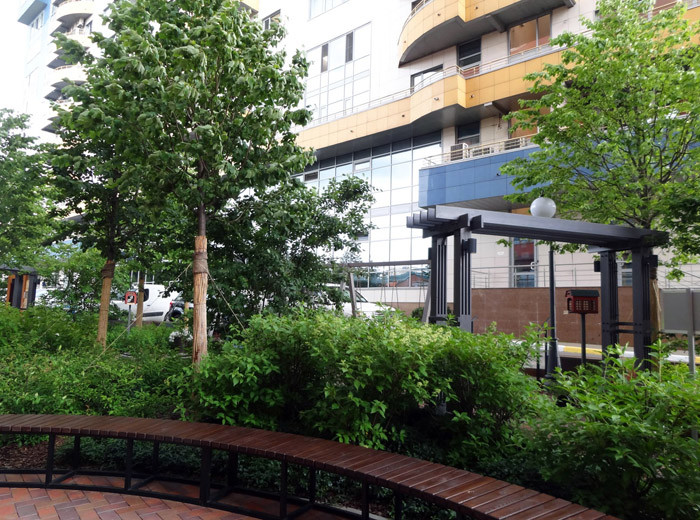 Парк ДК Новоспасский