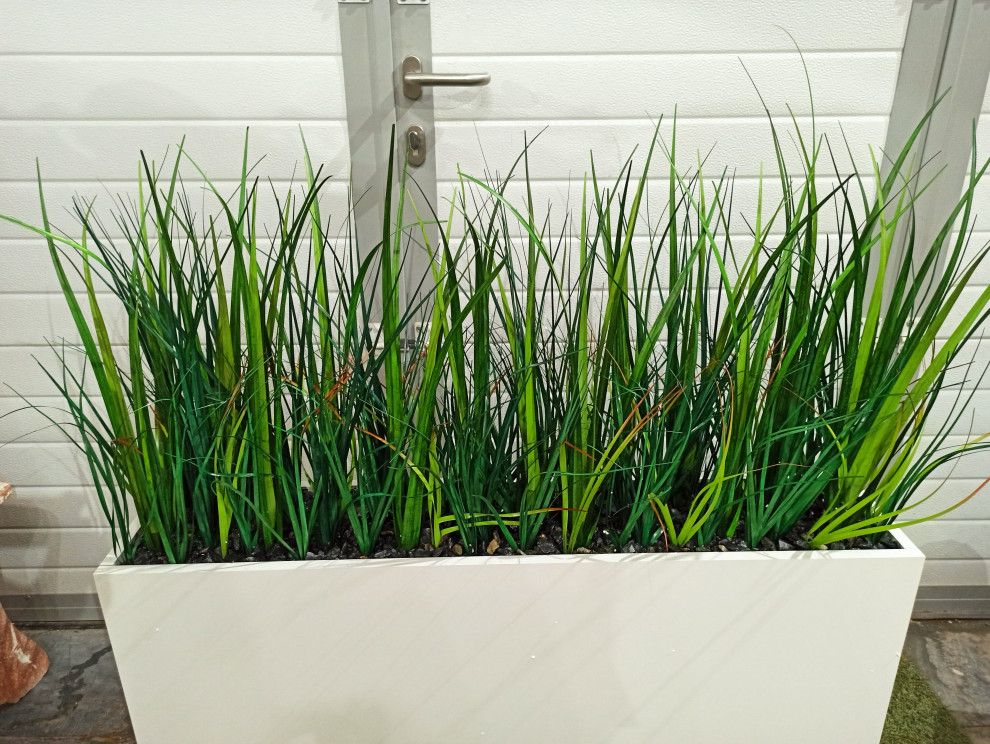 Трава осока (контейнерное озеленение)