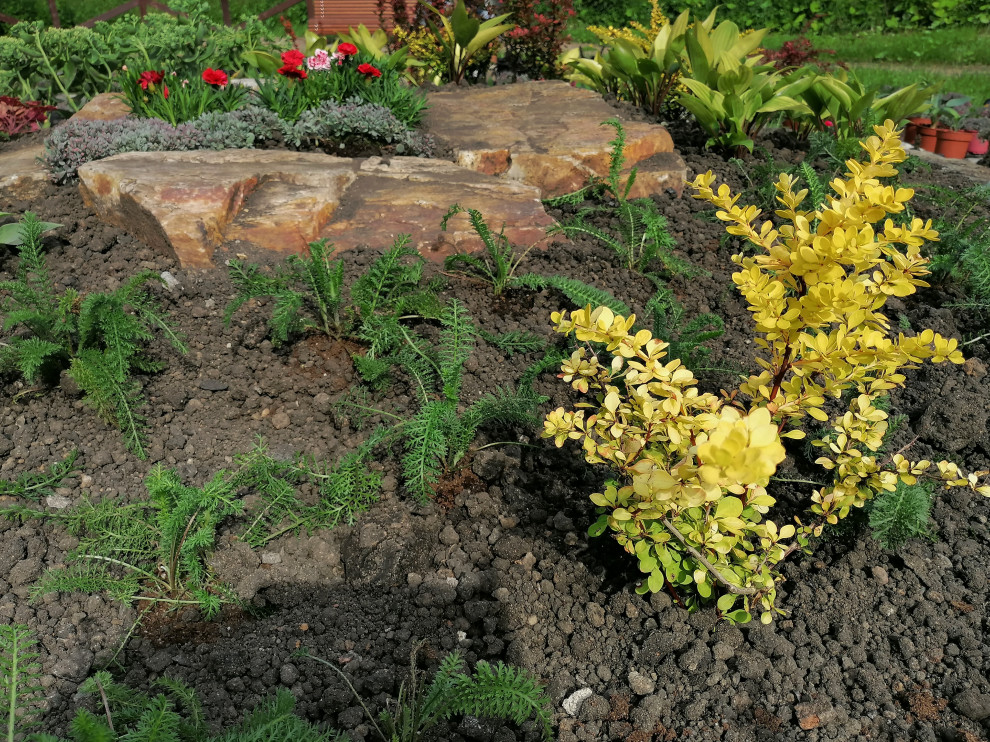 каменистый сад