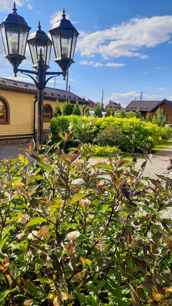 Андреевское озеро, 2017