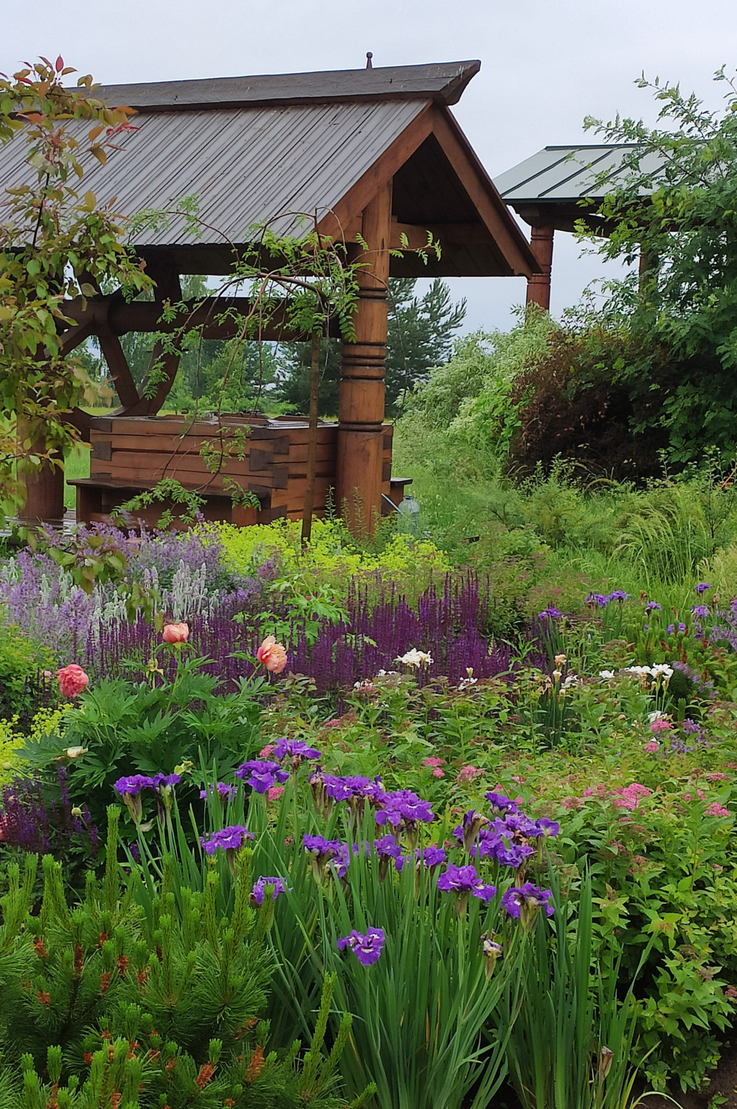 Проект "Волга"