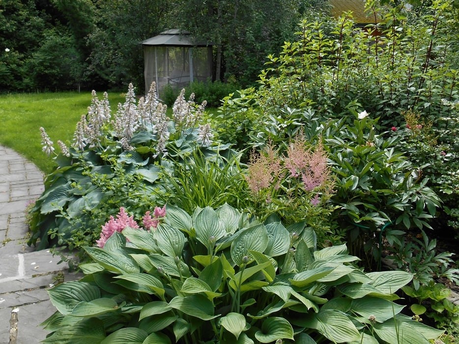 Минское шоссе. 22 сотки. Реконструкция сада.