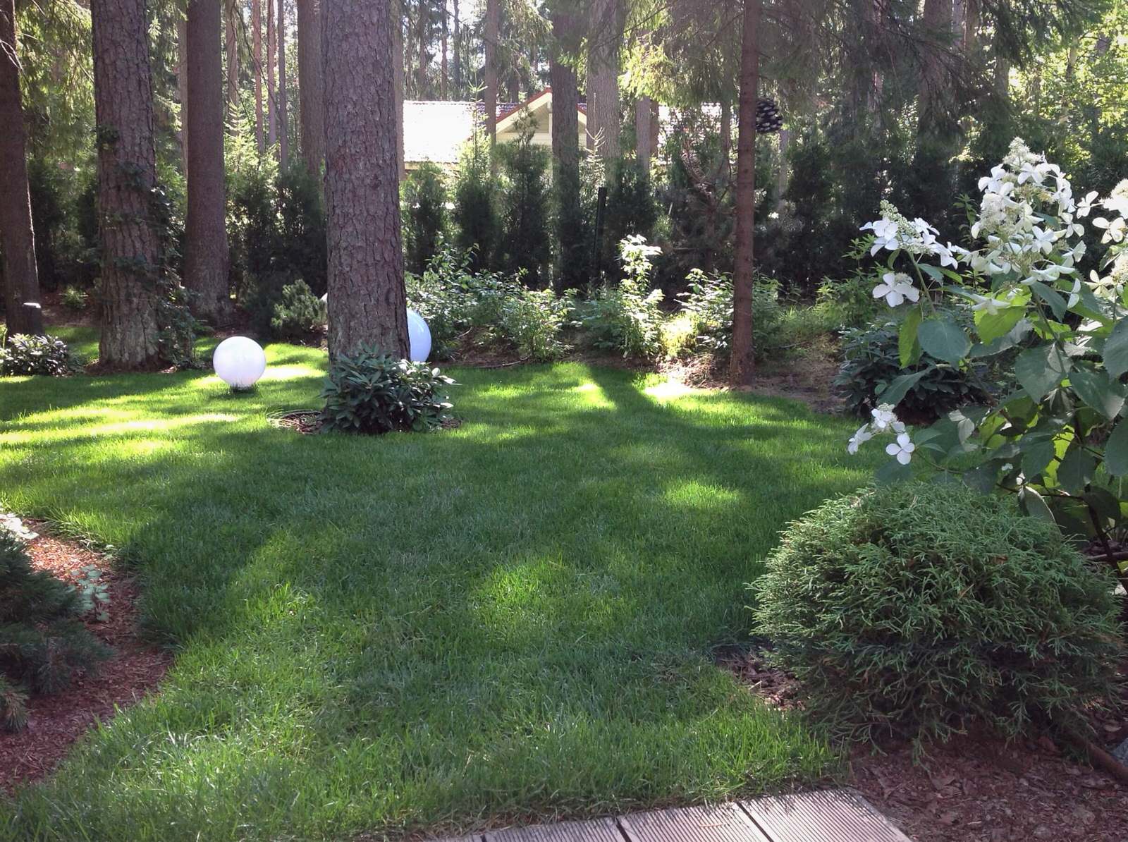 ШЕРВУДСКИЙ ЛЕС