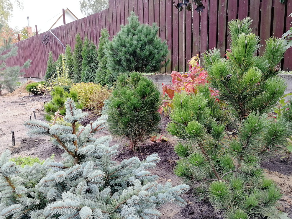 Реализация проект " Вечная любовь"