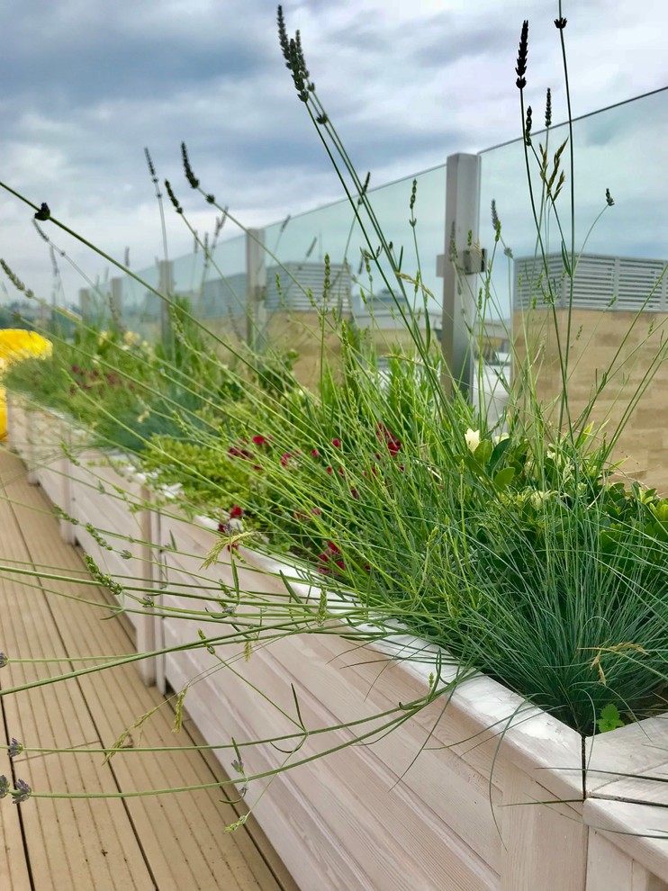 Пентхаус в Сочи