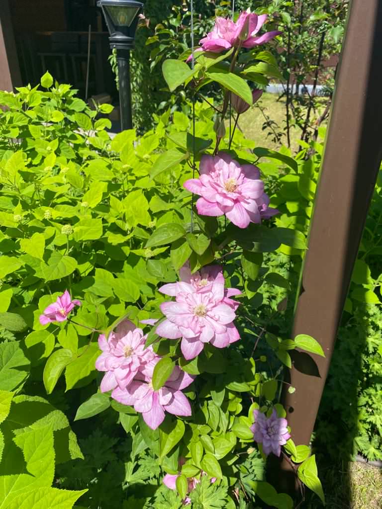 КП Альфа Терехово