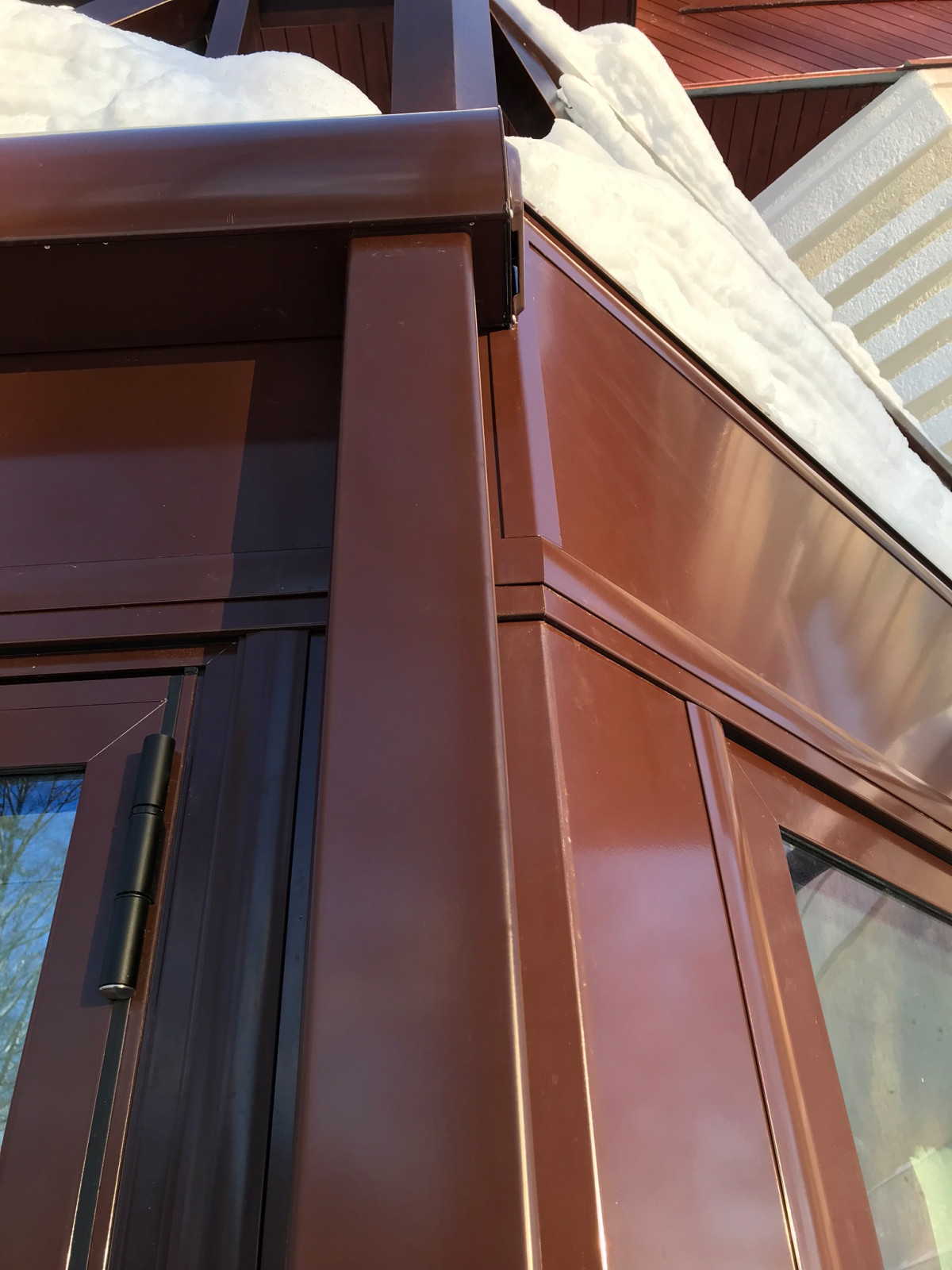 Зимний сад на берегу лесного озера