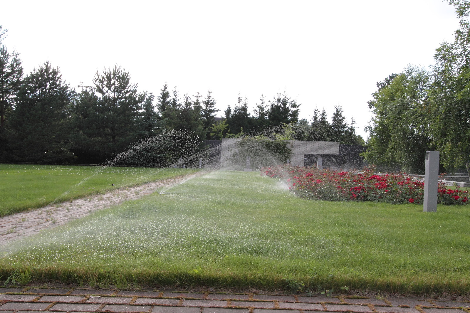 Пос. Лисий нос