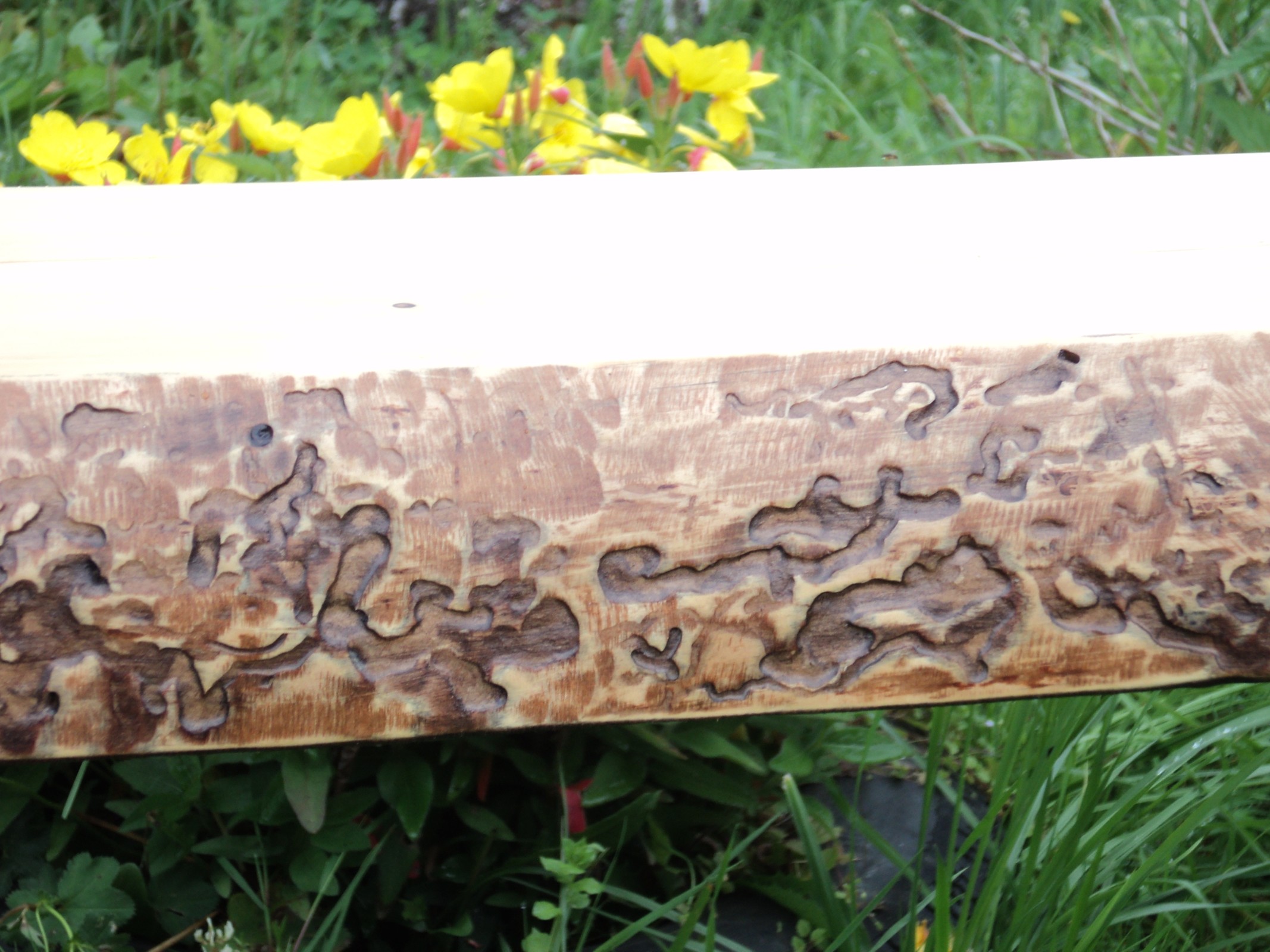 Скамейка деревянная