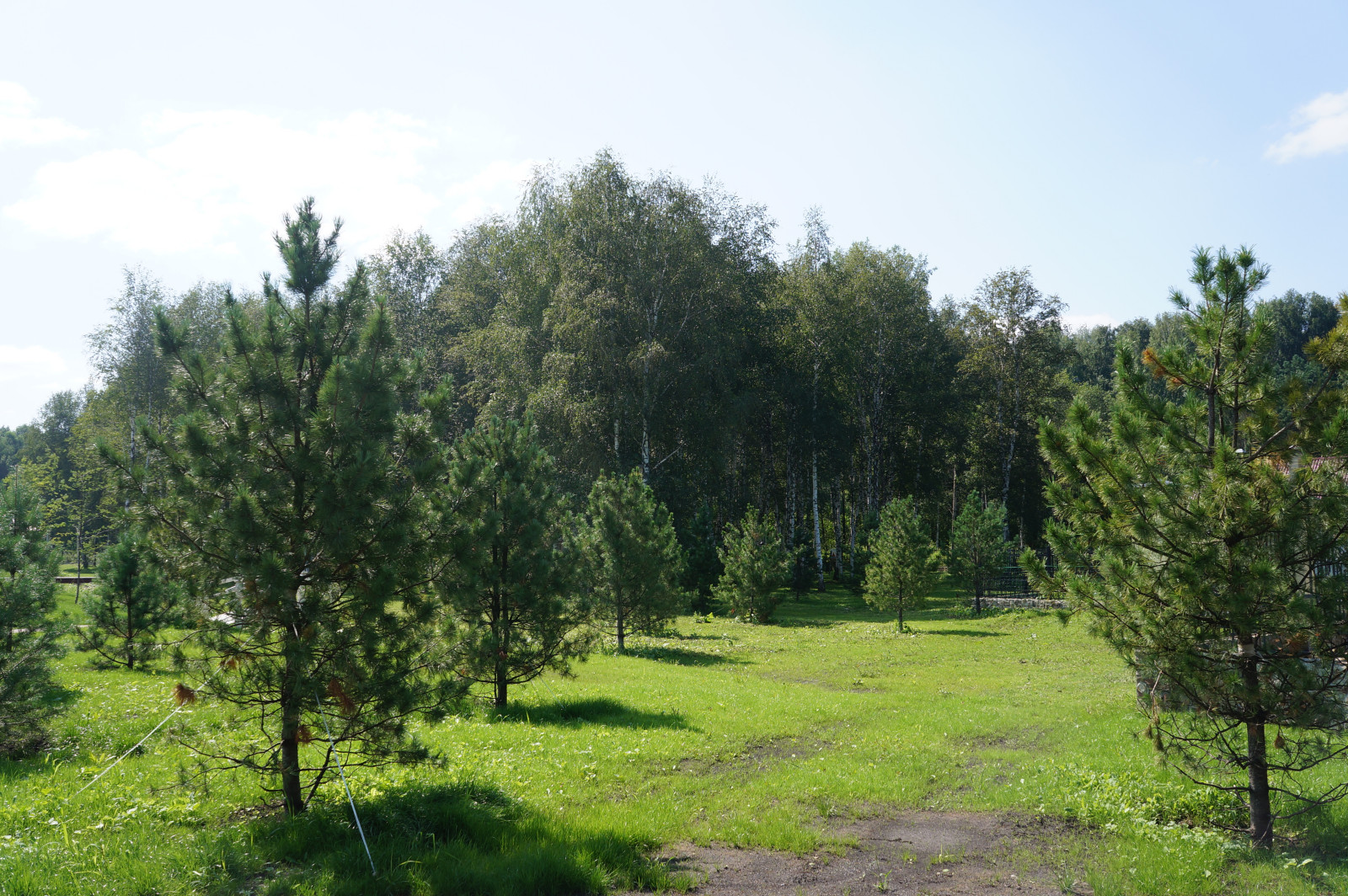 Ландшафтные работы  на частном объекте Сарапки