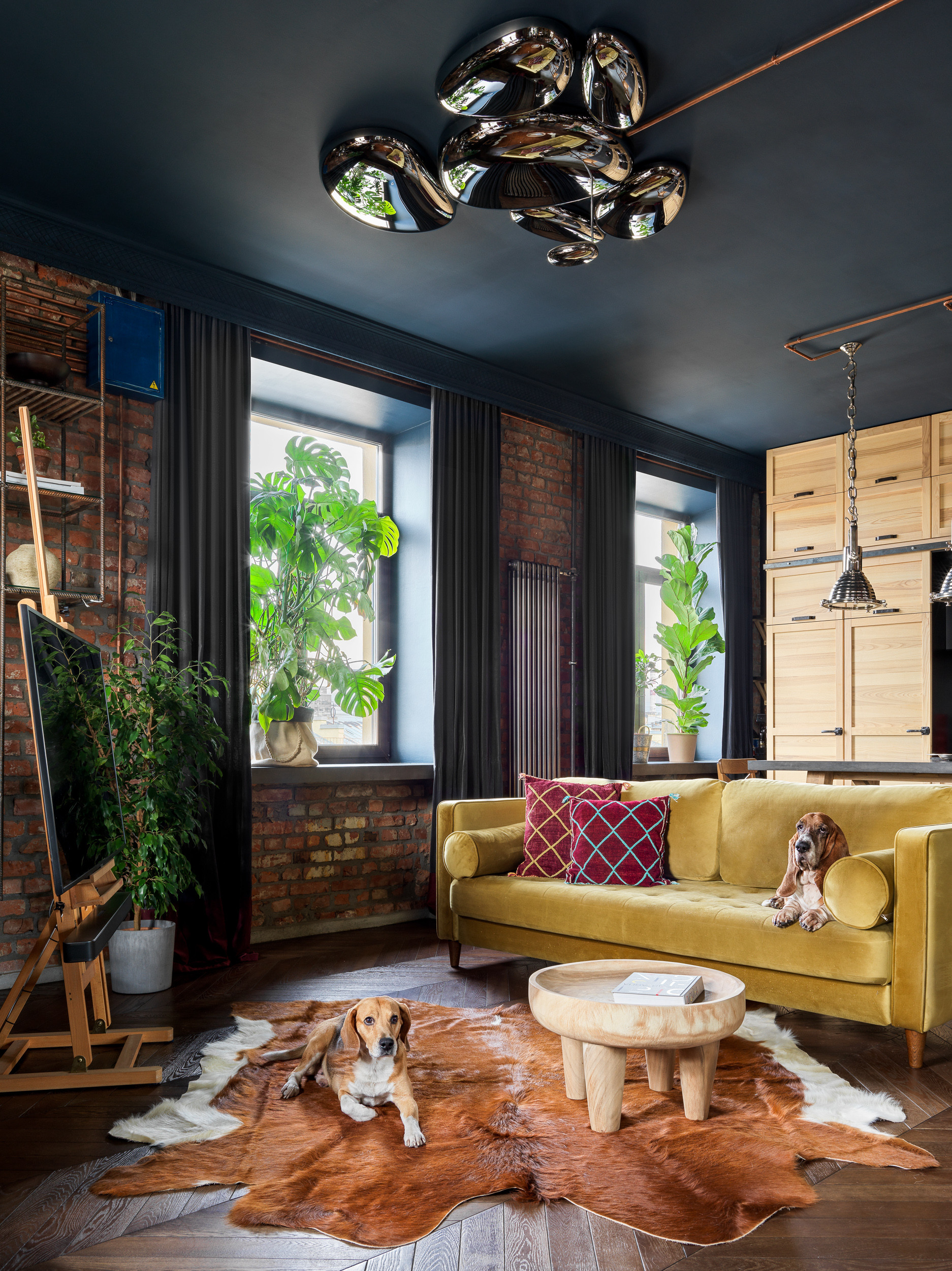 Houzz тур: Лофт в Петербурге с домиком для собак