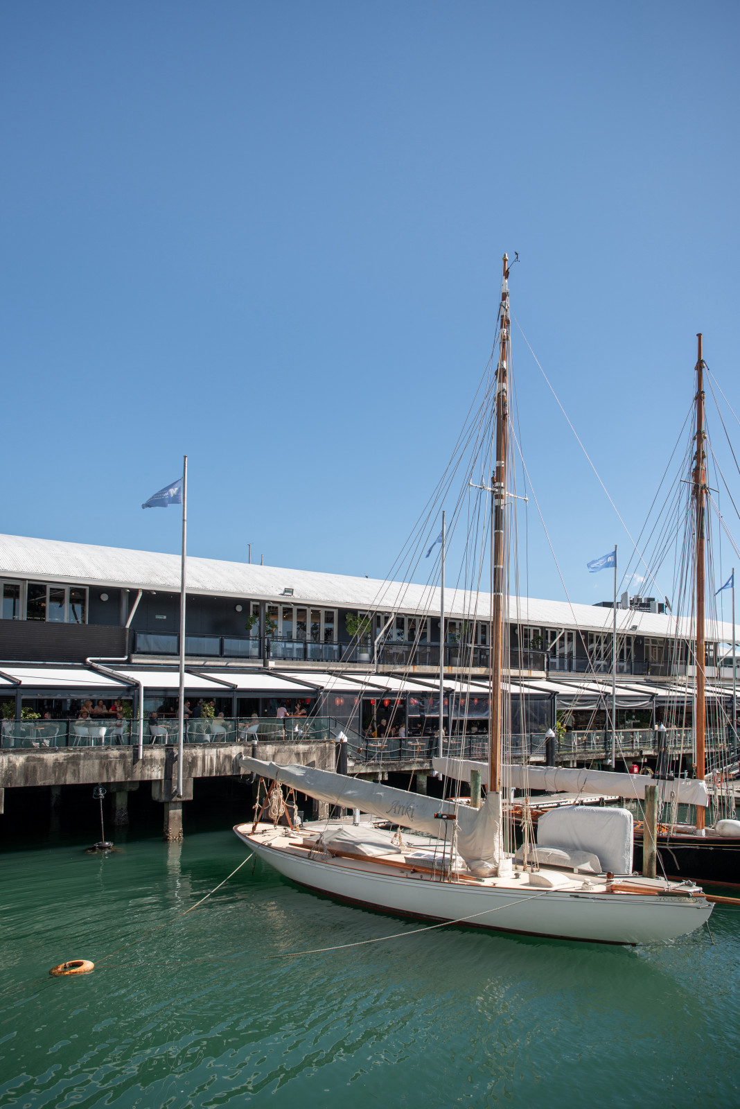 Viaduct Harbour, Auckland New Zealand