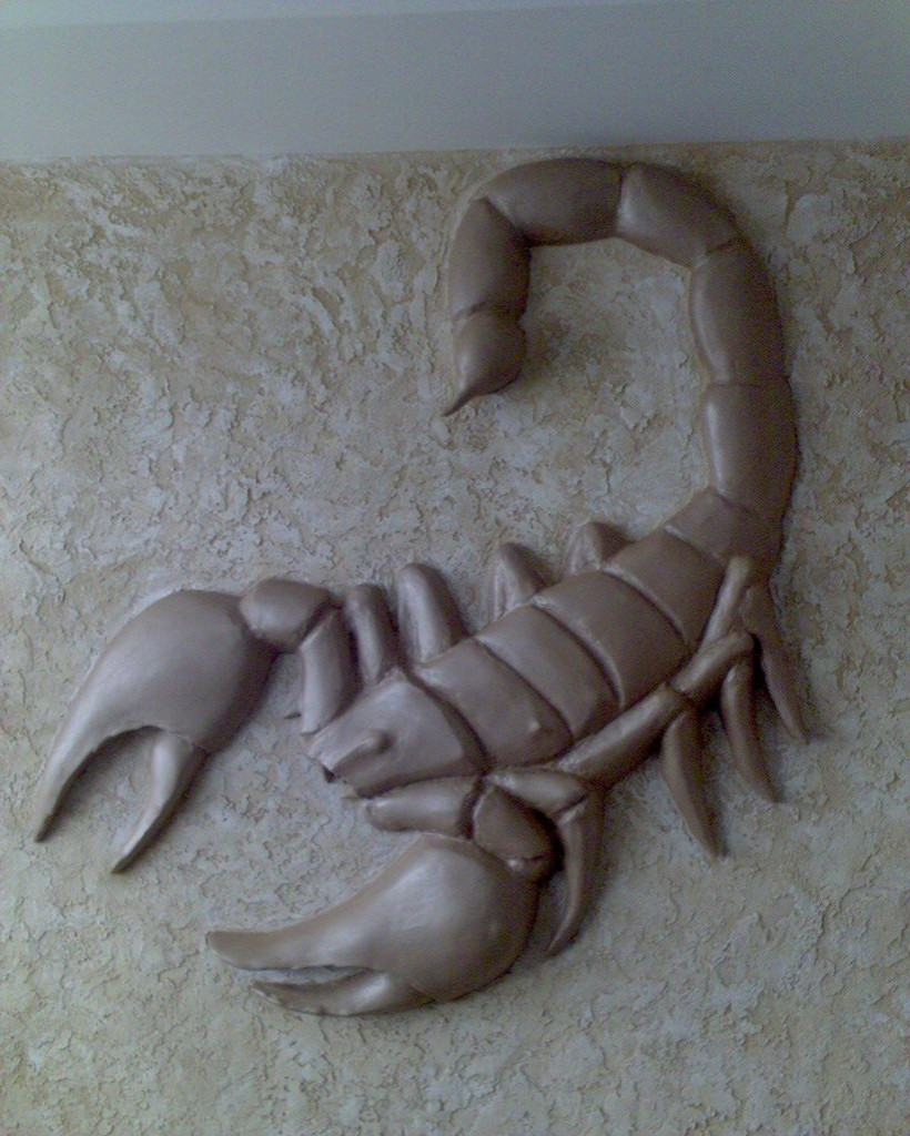 Обложка проекта: скорпион