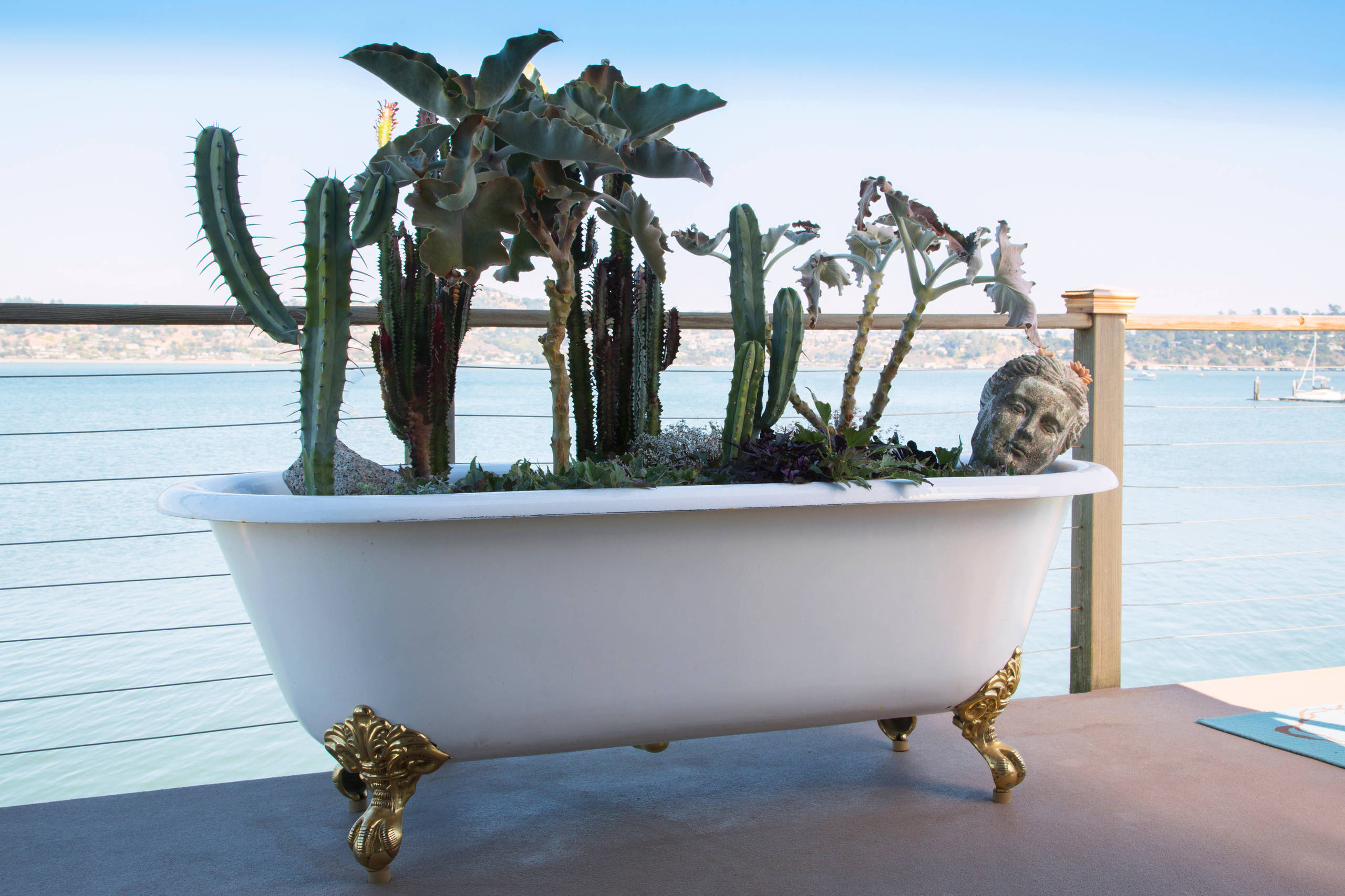 Houzz США: Плавучий дом в Саусалито