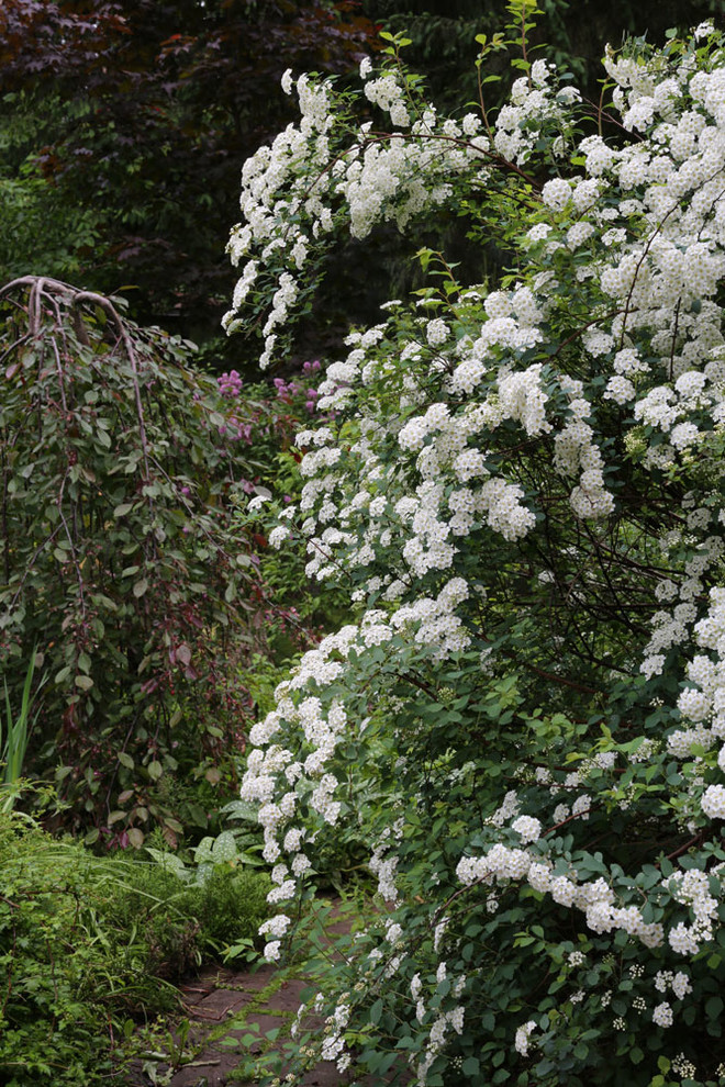 В гостях у леса