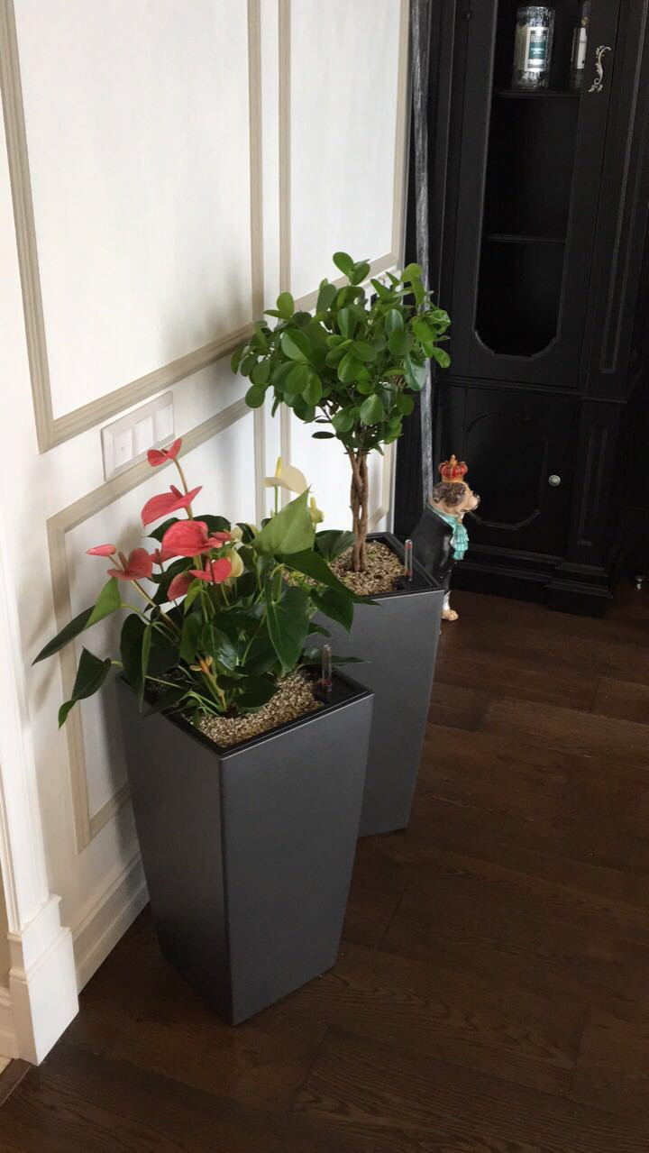 Квартира Семашко