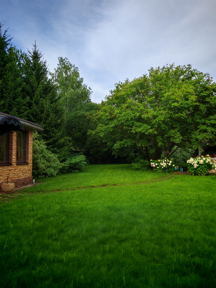 Обложка проекта: пююреализация проекта 2096 год